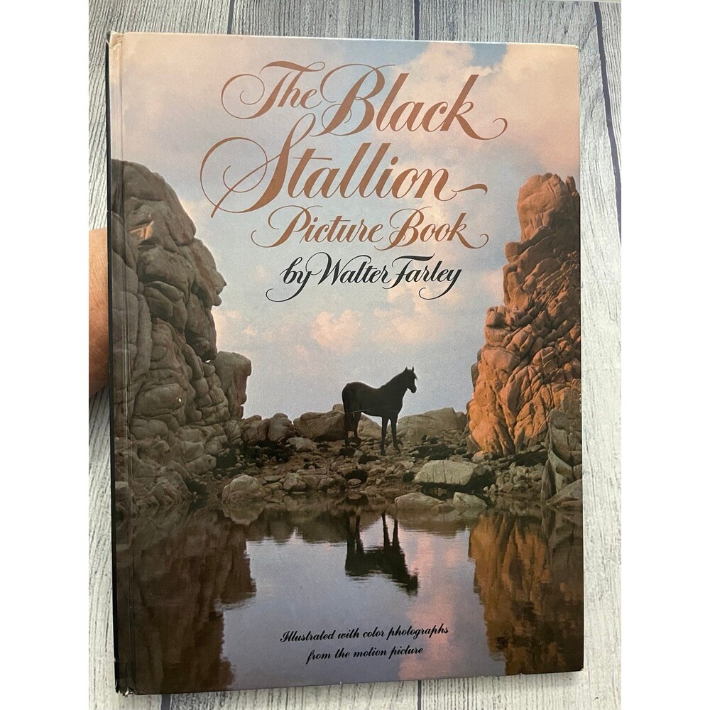 Vintage Vtg The Black Stallion Picture Book, Hardcover, By Walter Farley, 1979